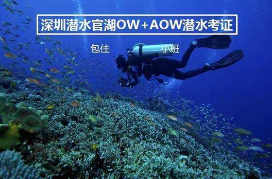 为什么麦当劳这么好吃？游戏画面